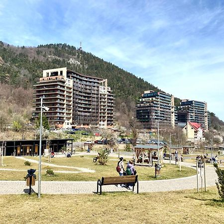 Nature Escape Apartment Braşov Dış mekan fotoğraf