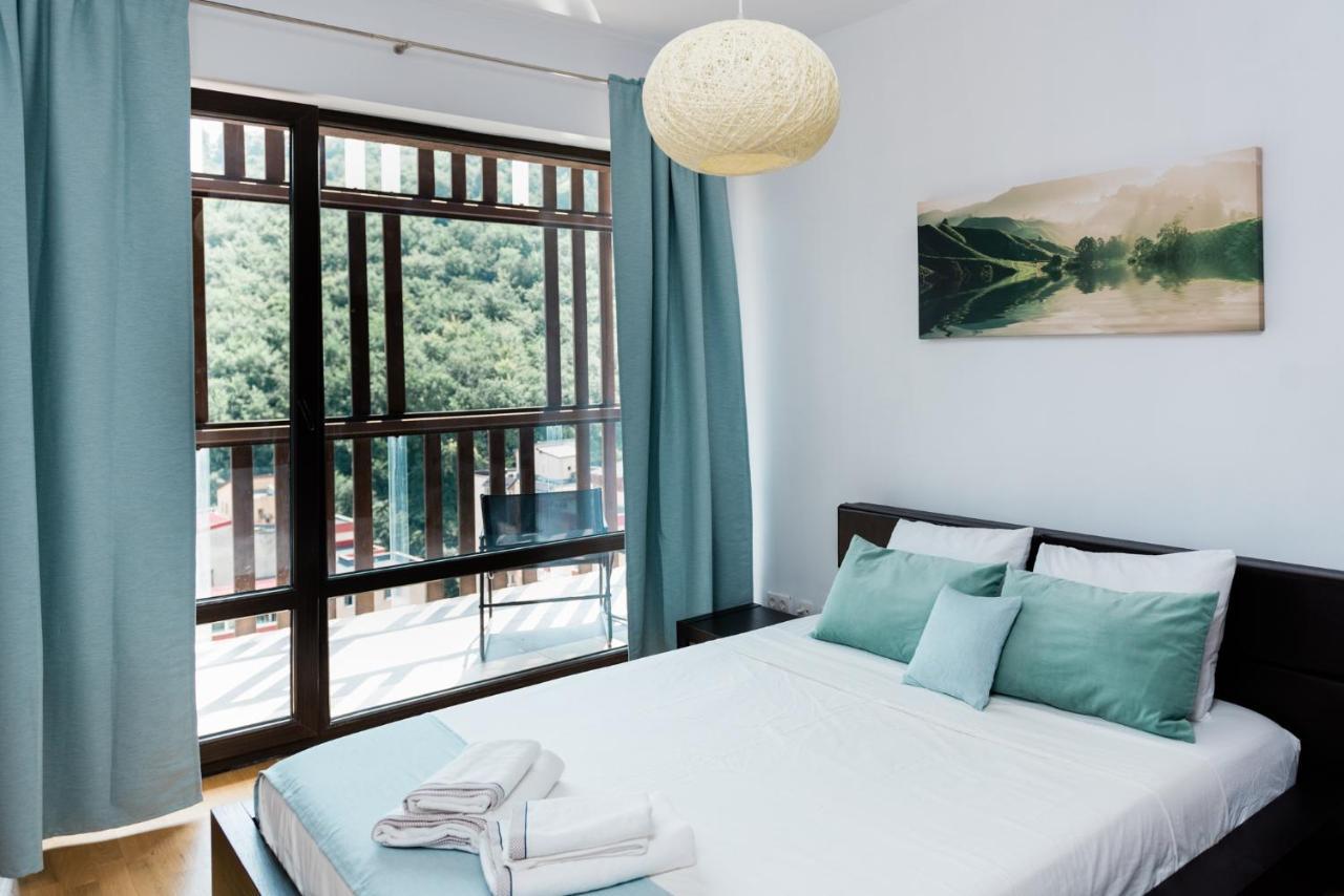 Nature Escape Apartment Braşov Dış mekan fotoğraf